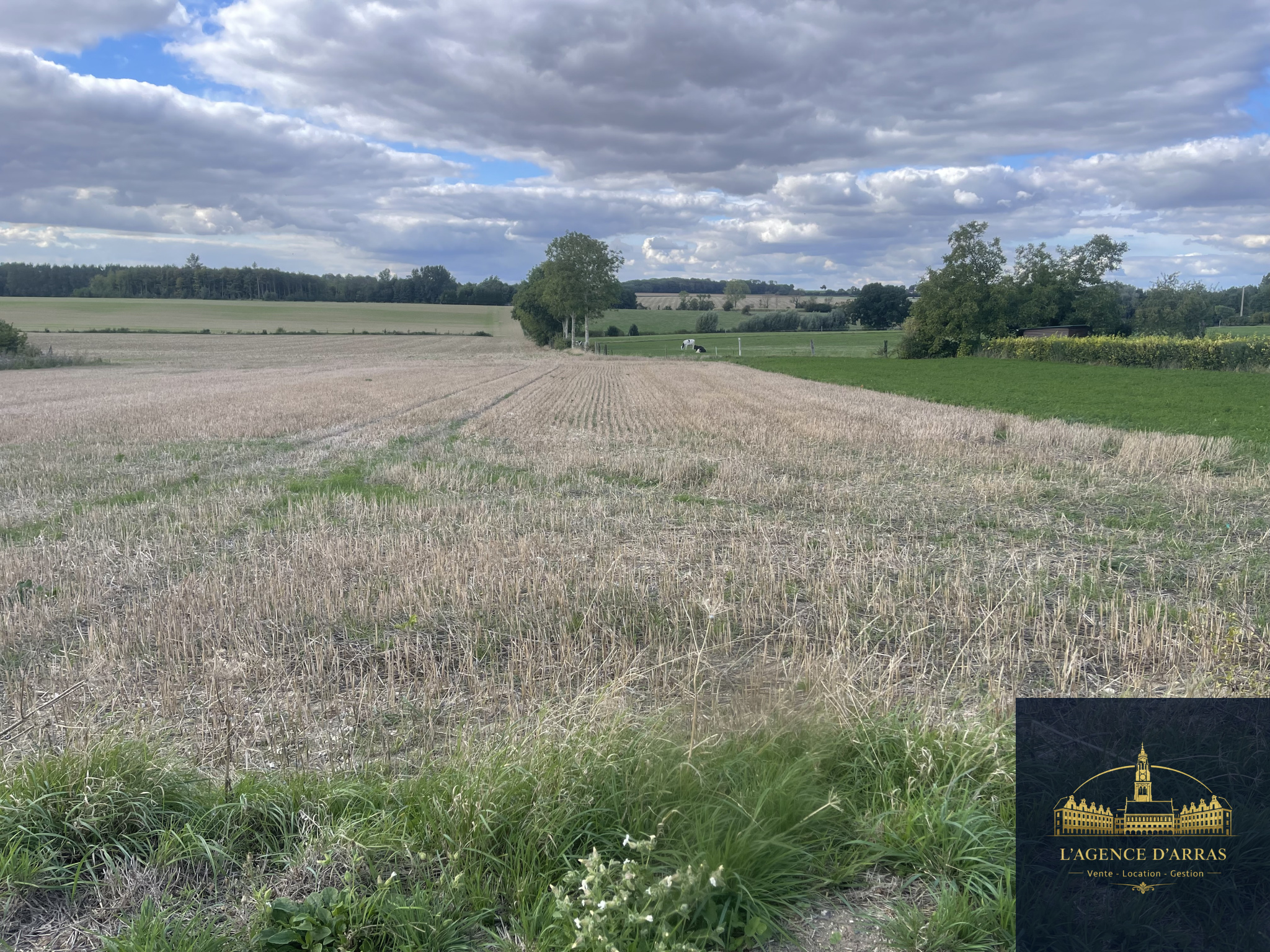 Terrain constructible à vendre à Lattre st quentin, 1 449 m² – photo 2 sur 2